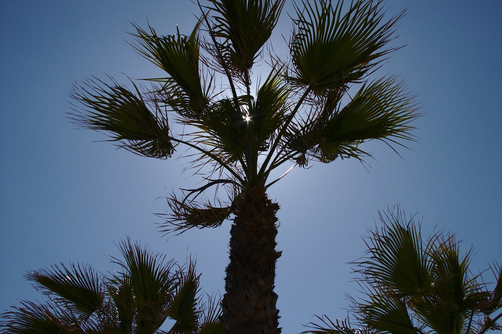 Discover the Unique Charm of the Costa Tropical